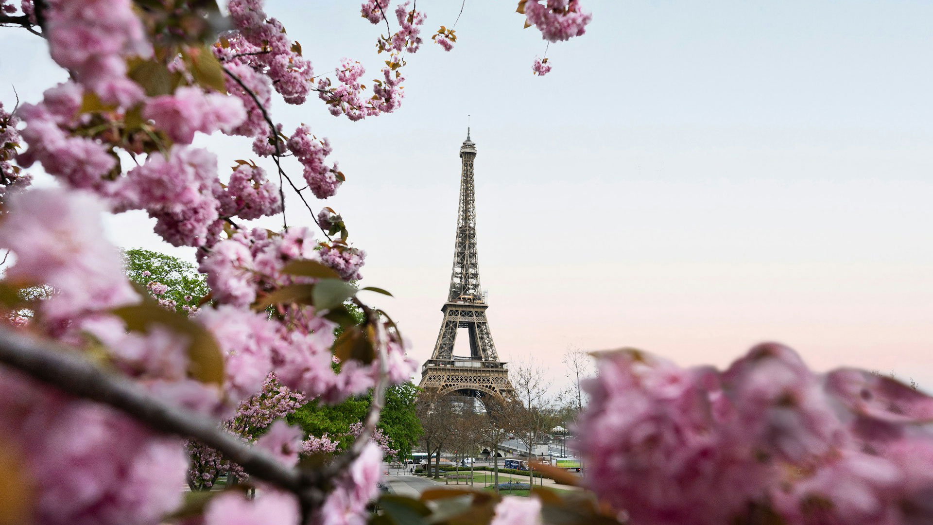 Spring Offer